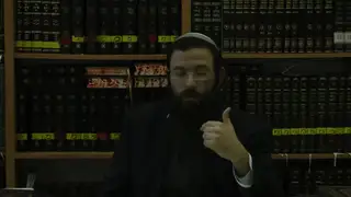 דין תולדות השמש מה דינו של דוד שמש?