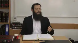 הלכות נידה - סימן קצח, סעיפים לא-מח