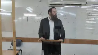כי תצא - מצוות שילוח הקן