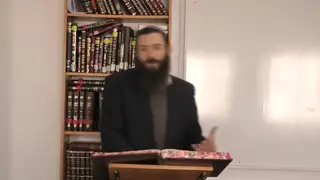 הקדמה - האם בדיקה בלילה מועילה?