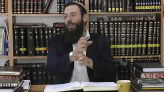הלכות שבת - סימן שיג, סעיפים ה-י
