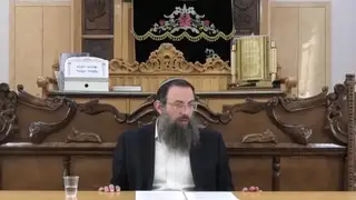 הלכות שמחות - סימן שצט סעיפים ז-יד וסימן ת
