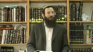 הותרה או דחויה? - ביאור שיטת הרב המגיד