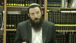 הלכות שבת - סימן שכה, סעיפים ה-ז