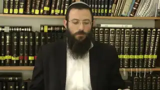 הלכות שבת - סימן של, סעיפים ד-יא