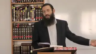 הקדמה - בדיקות בשעת טהרה