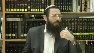 הלכות שבת - סימן שכה, סעיפים ח-יא
