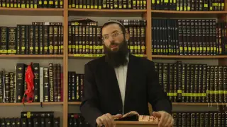 שיעור תורה: נותן טעם לפגם מאת הרב אריאל אלקובי