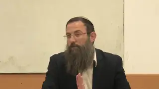 סוכות - סימן תרכט ז-יב