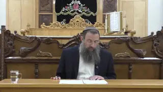 הלכות נדה - סימן קצח סעיפים ז-י
