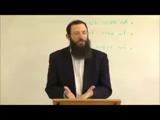 אמור - ימי ספירת העומר