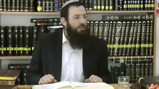 הלכות שבת - סימן שטז, סעיפים ד-ח