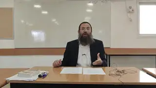 נח - כל כך הרבה קנים