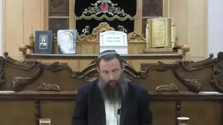 הלכות שמחות - סימנים שפט-שצ