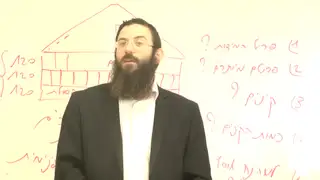 נח - מדוע היו 900 קינים בתיבה