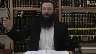 הלכות שבת - סימן שיח, סעיפים יא-יג