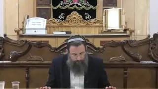 עירובין - סימן שסו סעיפים ז-טו