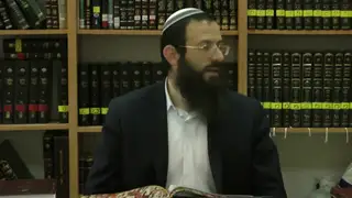 הלכות שמחות - סימן שלח-שלט