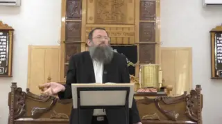 שיעור תורה: הקדמה - דיני תליה בכתמים מאת הרב אריאל אלקובי