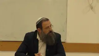 סוכות - ארבעת המינים, סימן תרנה -תרנז