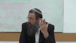 סוכות - ארבעת המינים, סימן תרנא יא - תרנד