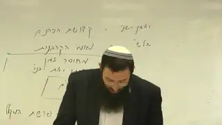 אמור - שור או כשב או עז