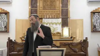 הקדמה - תוקפן של בדיקות ז' נקיים