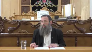 שיעור תורה: הלכות נדה - סימן קצ סעיפים מח-נד מאת הרב אריאל אלקובי