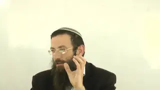 חזון הצמחונות, שיעור שלישי
