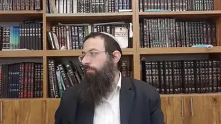 שיעור תורה: מסכת עירובין - דף צא מאת הרב אריאל אלקובי