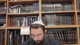 שיעור תורה: מסכת עירובין - דף צה מאת הרב אריאל אלקובי