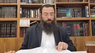 שיעור תורה: מסכת עירובין - דף פח מאת הרב אריאל אלקובי