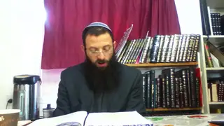 שיעור תורה: מסכת עירובין - דף יב מאת הרב אריאל אלקובי