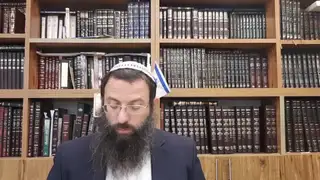 שיעור תורה: מסכת פסחים - דף מה מאת הרב אריאל אלקובי
