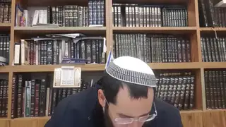 שיעור תורה: מסכת פסחים - דף כו מאת הרב דוד לנקרי