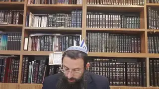שיעור תורה: מסכת פסחים - דף מ מאת הרב אריאל אלקובי